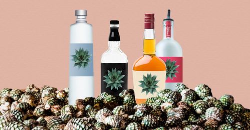 無酒精飲品如何實(shí)現(xiàn)“酒香四溢”？看國(guó)外酒企創(chuàng)新酒精飲料的三大路徑